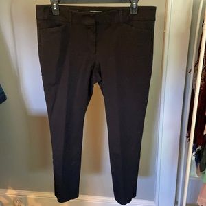 Loft Dress Pant